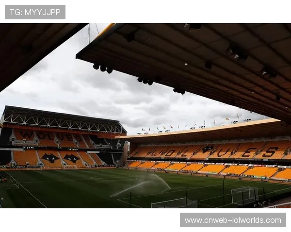 英超多场比赛爆发流氓冲突 球场暴力问题持续升级